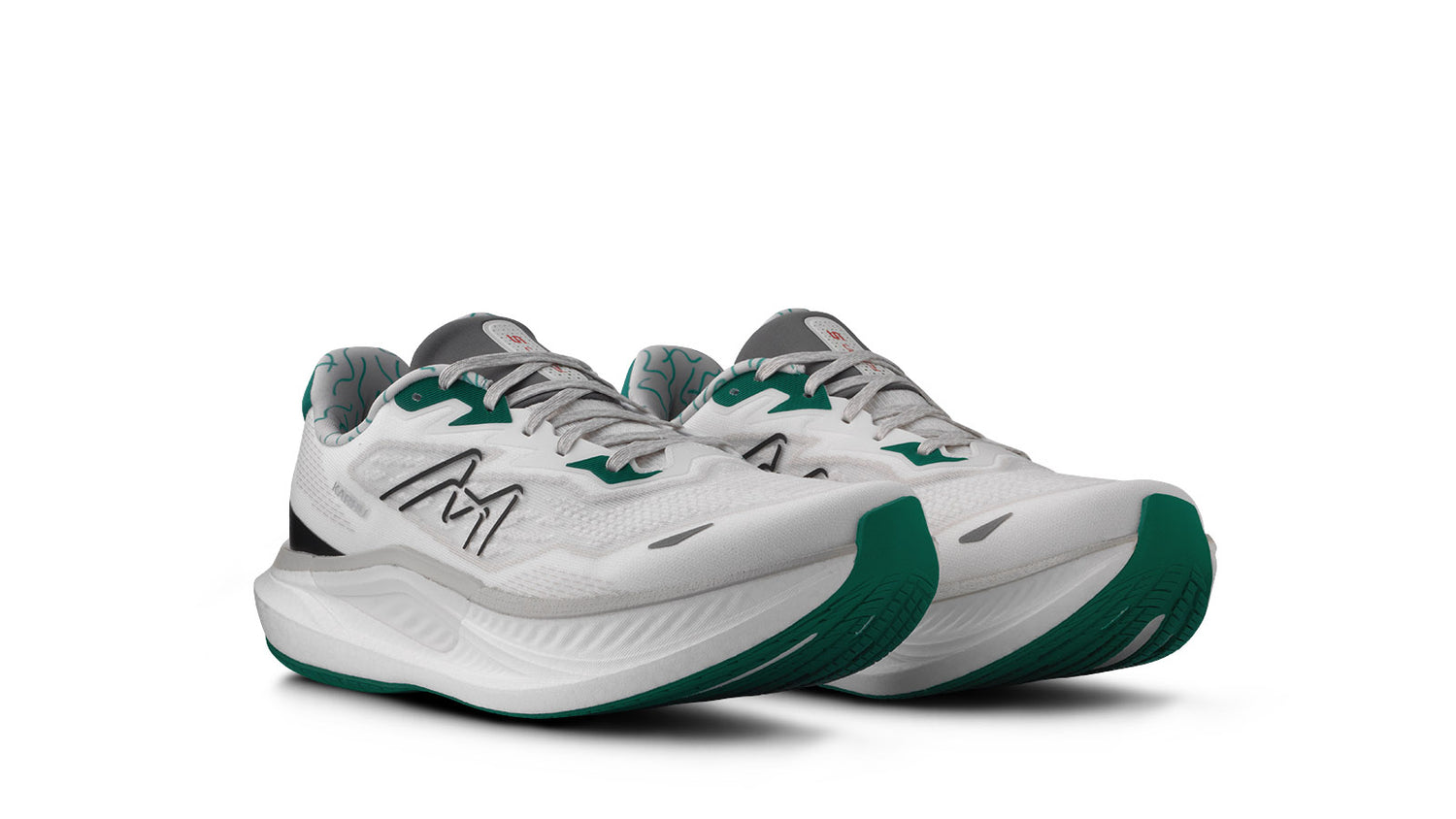 MEN'S FUSION 5.0 - BLANC DE BLANC / ULTRAMARINE GREEN