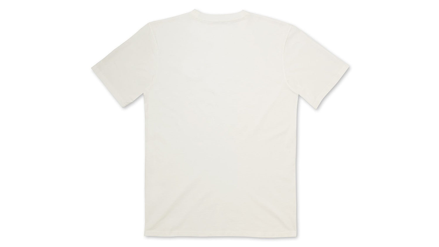 SPORT BEAR LOGO T–SHIRT - BRIGHT WHITE / ICEBERG GREEN
