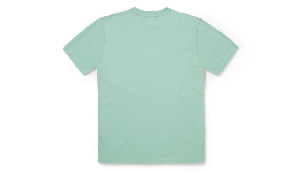 Team College T-shirt DESERT SAGE/ENSIGN BLUE/MC back